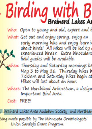 Birdwalks arb may2018 web