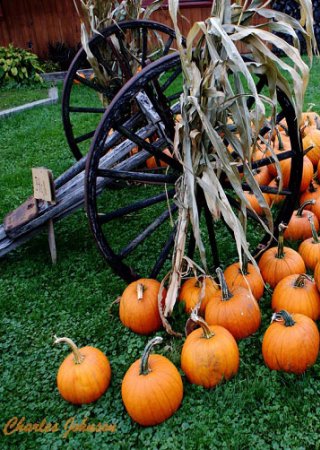 606 bragg farm pumpkins calendar