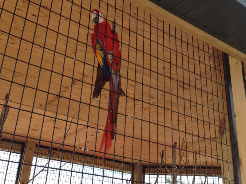 Safari North New Zoo Opens In Brainerd