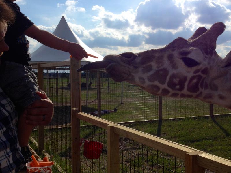 Safari North New Zoo Opens in Brainerd
